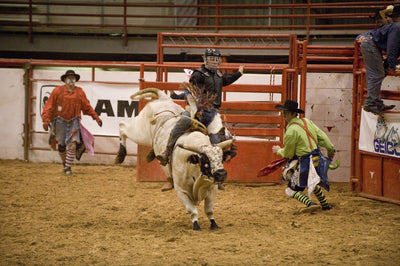 2019 Best Rodeos to Attend